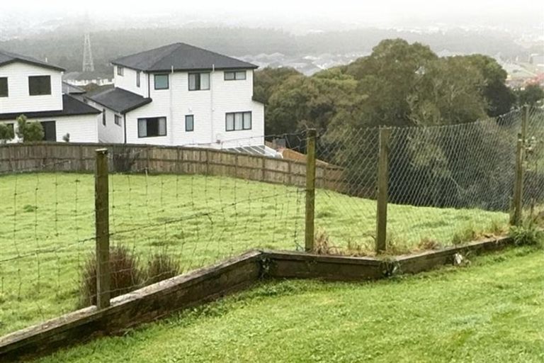 Photo of property in 20 Murphys Road, Flat Bush, Auckland, 2019