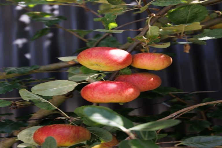 Photo of property in 158 North Avon Road, Richmond, Christchurch, 8013