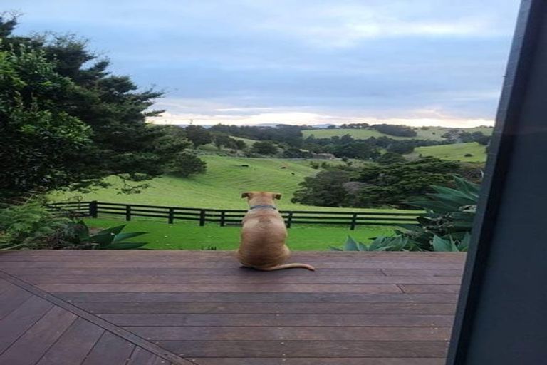 Photo of property in 67 Walu Lane, Matapouri, Whangarei, 0173