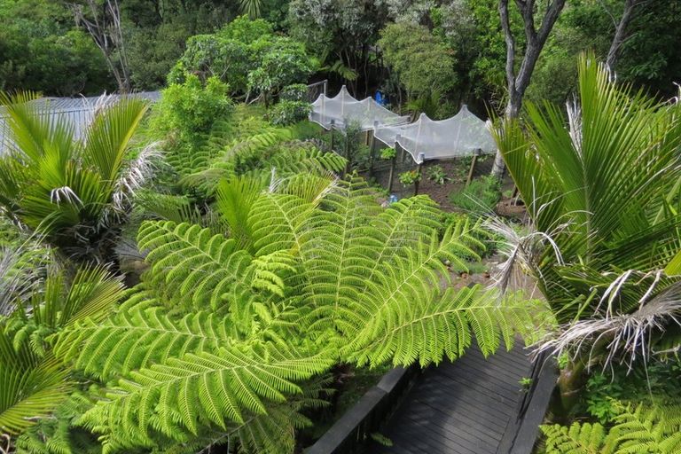 Photo of property in 515 Tuateawa Road, Tuateawa, Coromandel, 3583