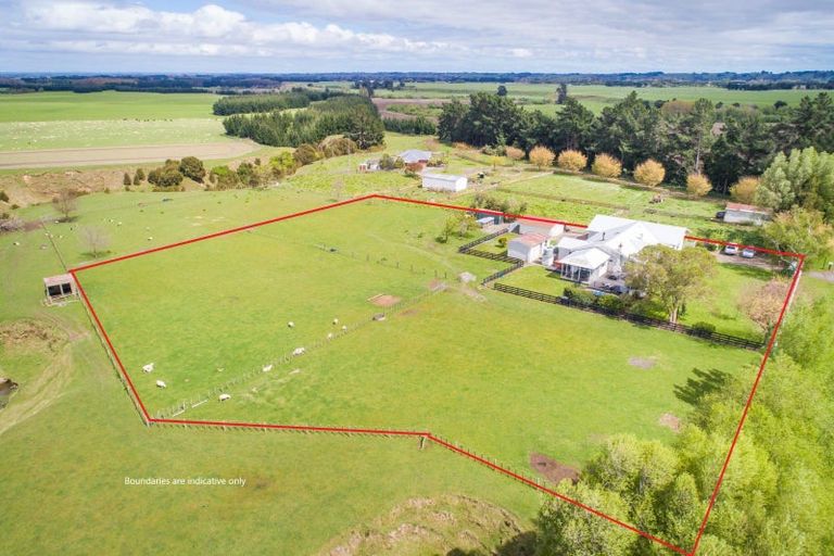Photo of property in 283 Forlong Road, Colyton, Feilding, 4775