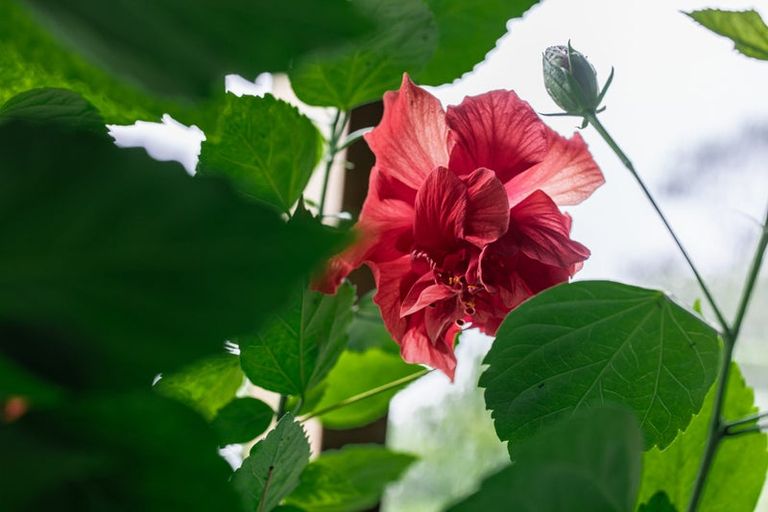 Photo of property in 189 Puketui Valley Road, Hikuai, 3579