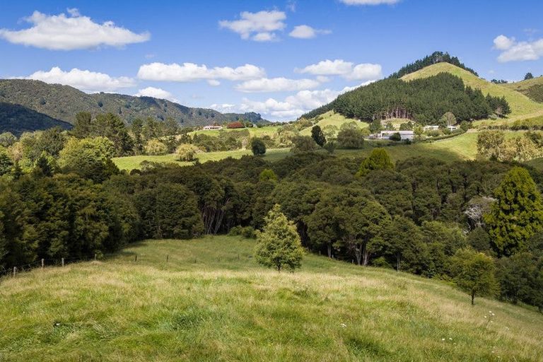 Photo of property in 49 Mangotahi Road, Thames, 3577