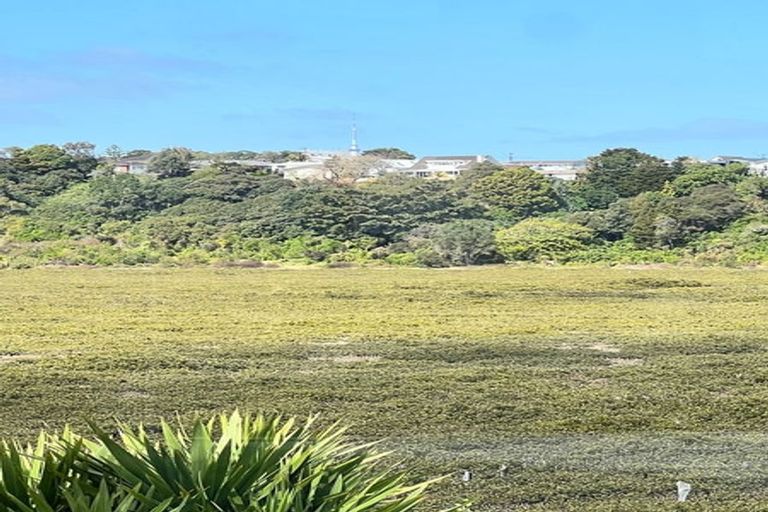 Photo of property in 2/20 Saint Peters Street, Northcote, Auckland, 0627