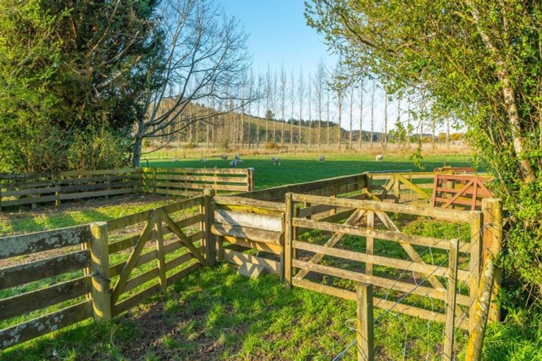 Photo of property in 2576 Homebush Road, Glentunnel, Coalgate, 7673