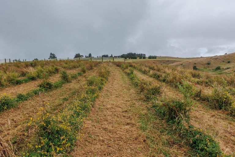 Photo of property in 790 Pungaere Road, Waipapa, 0295