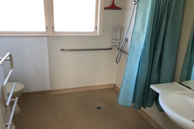 Photo of property in 50a Fifth Avenue, Enderley, Hamilton, 3214