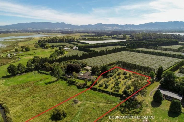 Photo of property in 380b Matahui Road, Aongatete, Katikati, 3181