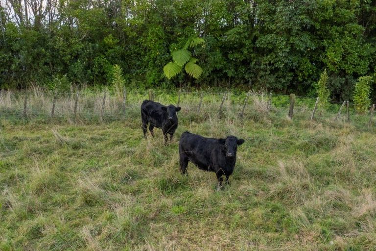 Photo of property in 751 Esdaile Road, Whakamarama, Tauranga, 3180