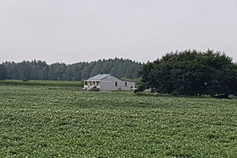 Photo of property in 53 Mercer Ferry Road, Mercer, Tuakau, 2696