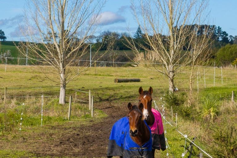 Photo of property in 54 Lake Road, Horsham Downs, Hamilton, 3281