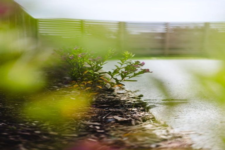 Photo of property in 27 Awatea Avenue, Paraparaumu, 5032