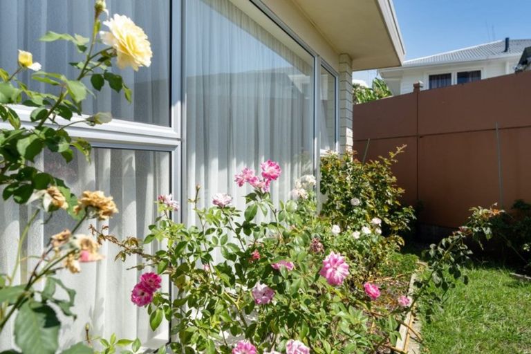 Photo of property in 5 Roderick Street, Otumoetai, Tauranga, 3110