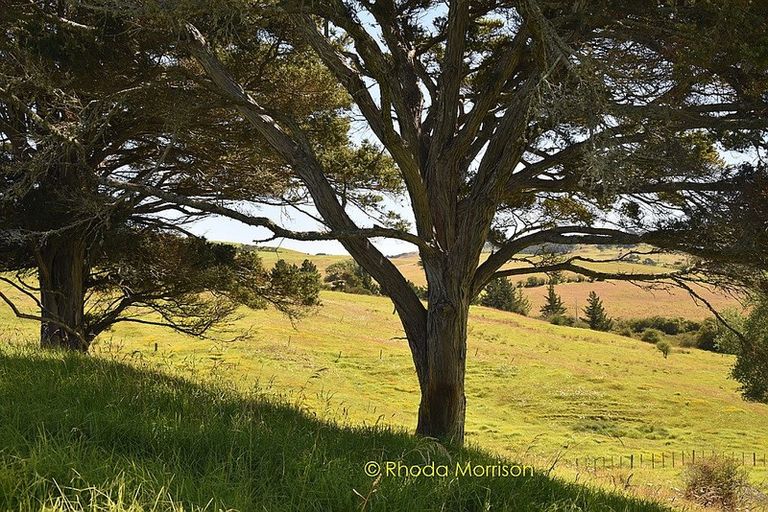 Photo of property in 1 Matahehe Lane, Tinopai, 0593