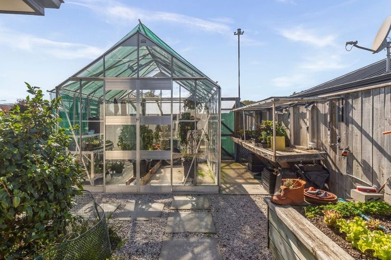 Photo of property in 13 Boysenberry Grove, Richmond, 7020