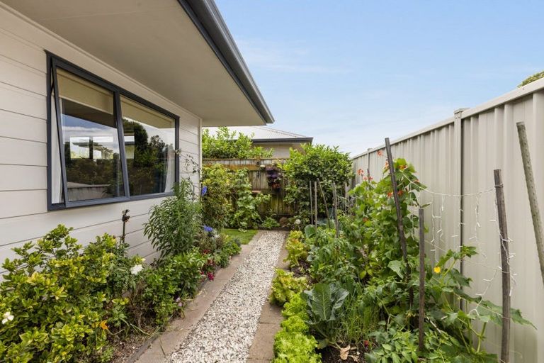 Photo of property in 118 Allerton Street, Saint Leonards, Hastings, 4120