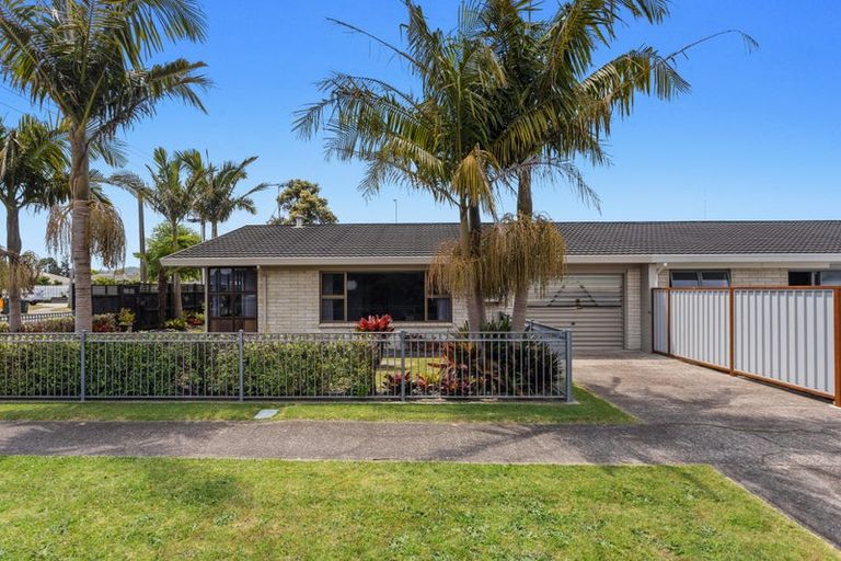 Photo of property in 25 Victoria Avenue, Whakatane, 3120