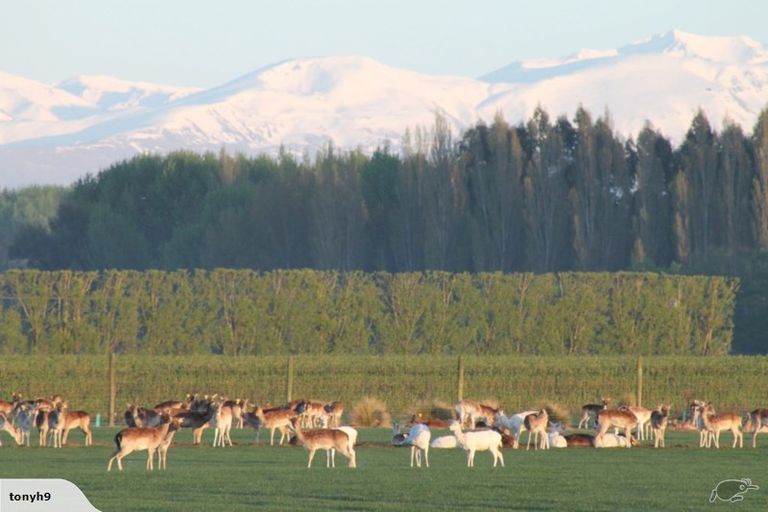 Photo of property in 18 Meadowlinks Lane, Pleasant Point, 7974