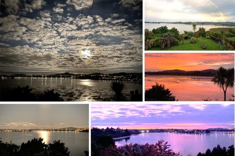 Photo of property in 49 Baycroft Avenue, Parkvale, Tauranga, 3112