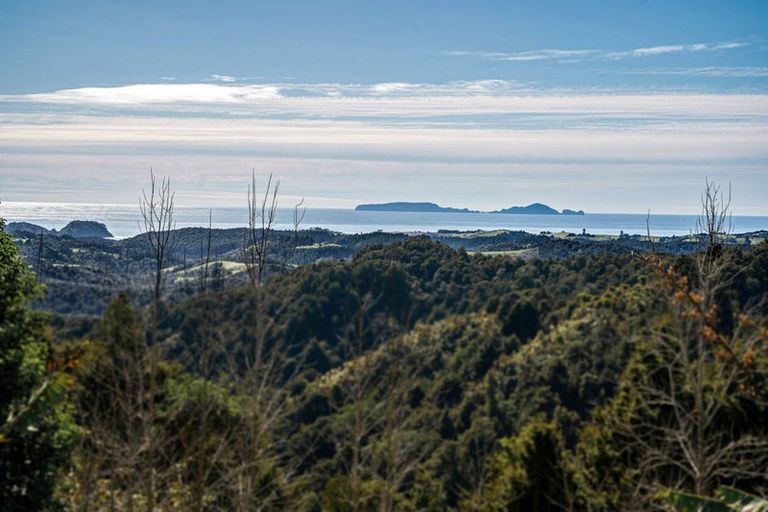 Photo of property in 98 Kiwi Bush Lane, Ngunguru, Whangarei, 0173