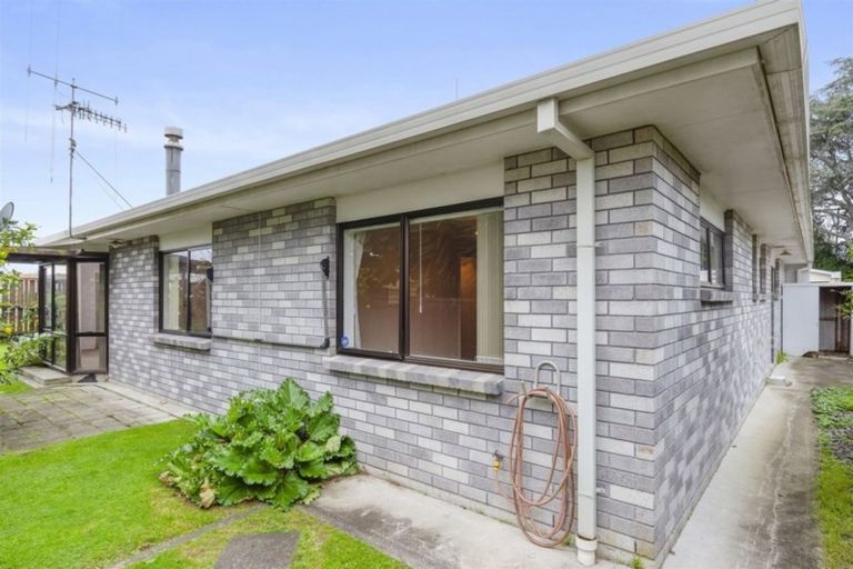 Photo of property in 133a Grace Road, Tauranga South, Tauranga, 3112