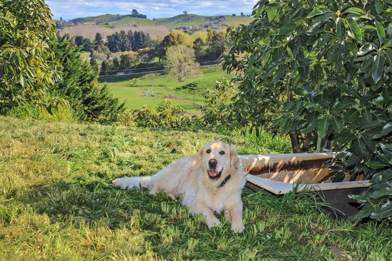 Photo of property in 144b Springfield Road, Taradale, Napier, 4183