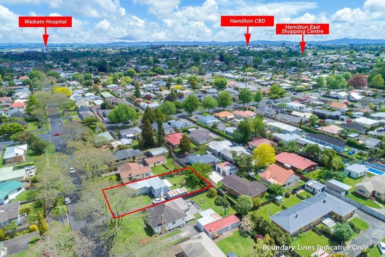 Photo of property in 67 Brookfield Street, Hamilton East, Hamilton, 3216