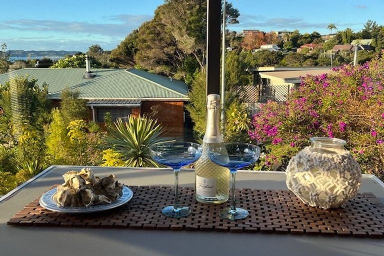 Photo of property in 33 Hihitahi Rise, Paihia, 0200