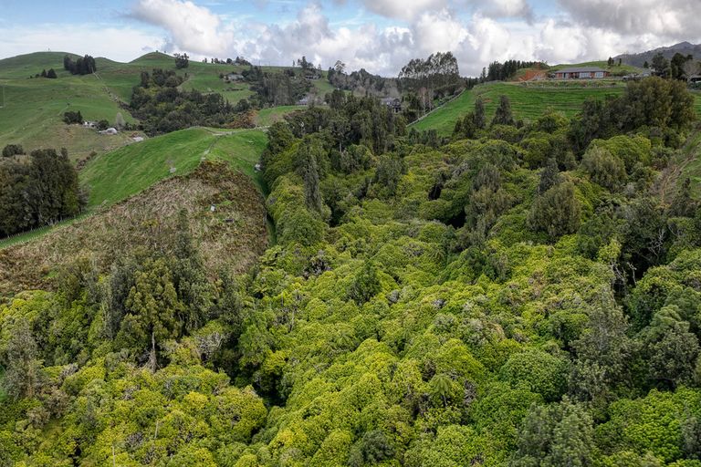 Photo of property in 2/407 Sainsbury Road, Pirongia, Te Awamutu, 3876