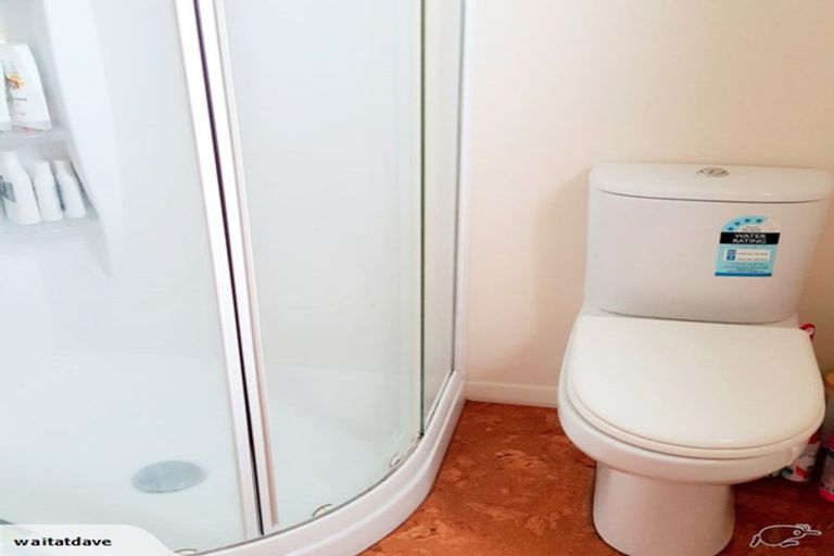 Photo of property in 16 Shortland Street, Caversham, Dunedin, 9011