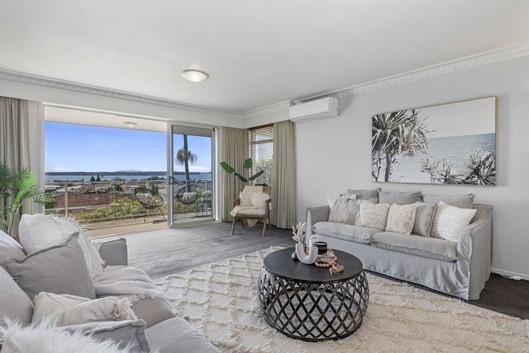 Photo of property in 10 Hazel Terrace, Otumoetai, Tauranga, 3110