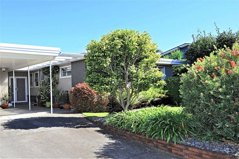 Photo of property in 4 Moorhouse Street, Taradale, Napier, 4112