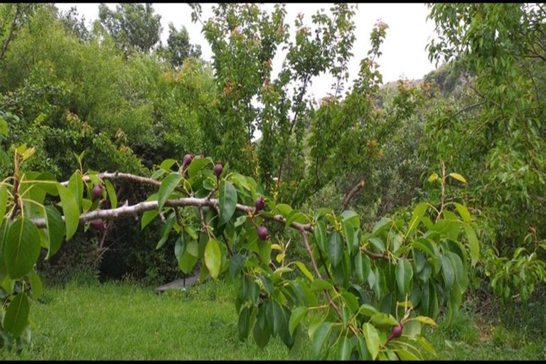 Photo of property in 69 Matenga Road, Ligar Bay, Takaka, 7183