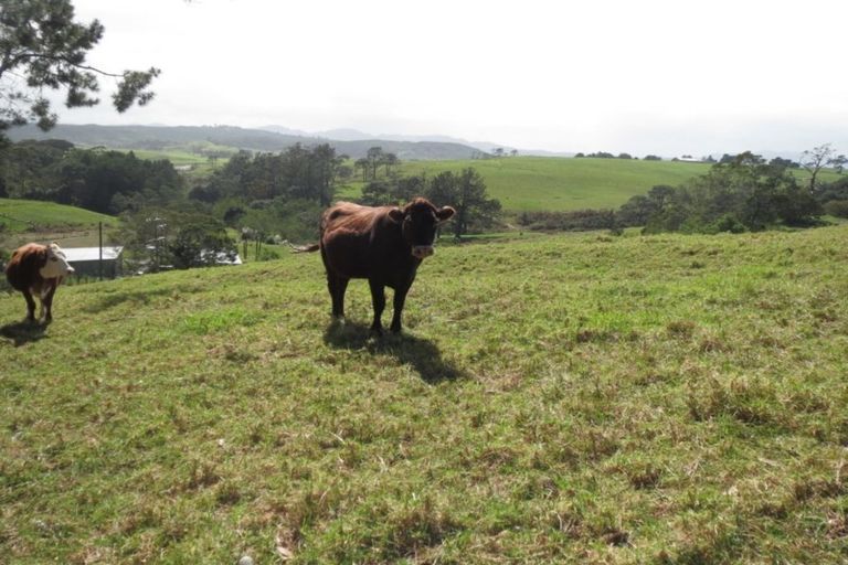 Photo of property in 285 Waihue Road, Dargaville, 0372
