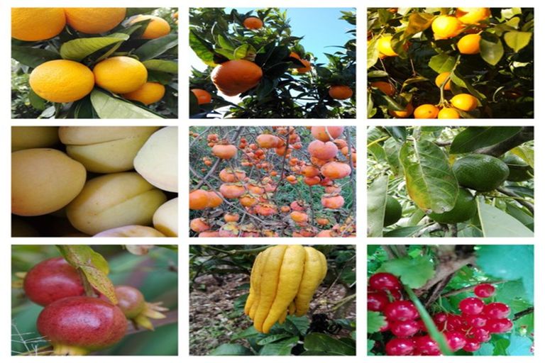 Photo of property in 4 Farndon Road, Clive, 4102