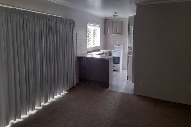 Photo of property in 99 Coronation Road, Hillcrest, Auckland, 0627
