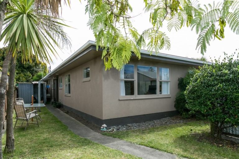 Photo of property in 51a Mcgrath Street, Napier South, Napier, 4110