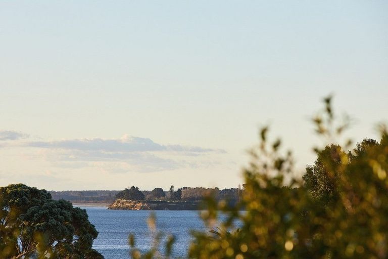 Photo of property in 116 Manuwai Drive, Matua, Tauranga, 3110