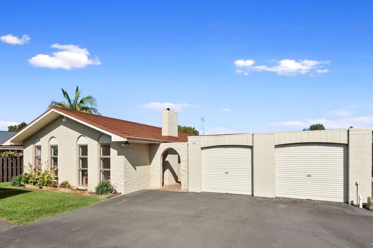 Photo of property in 12 Chequers Avenue, Chartwell, Hamilton, 3210