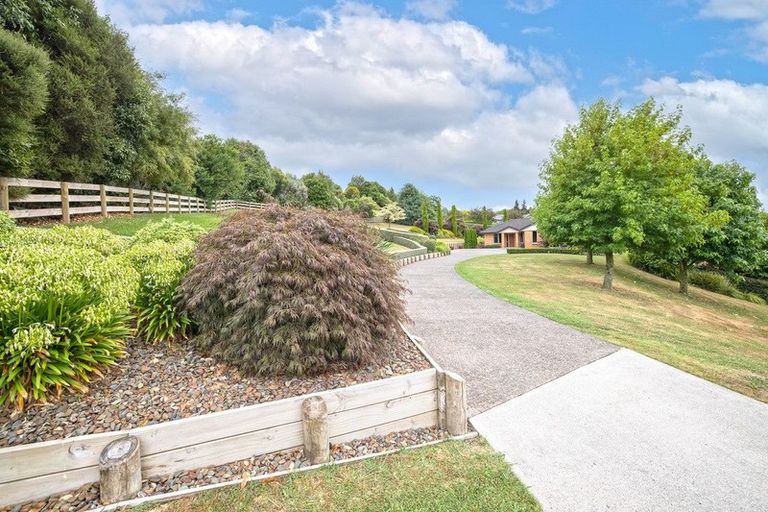 Photo of property in 11 Linehan Road, Te Awamutu, 3875