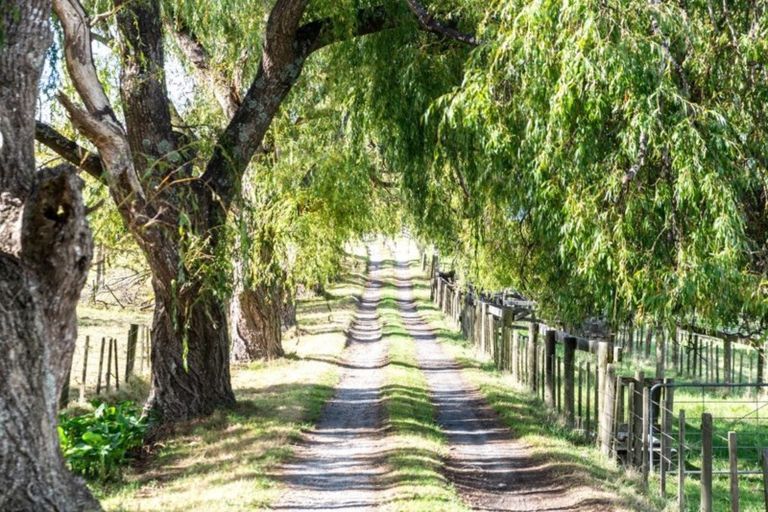 Photo of property in 87 Kahikatea Flat Road, Dairy Flat, Albany, 0794