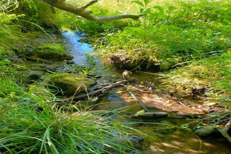 Photo of property in 36 Armstrong Road, Waiotahe, Opotiki, 3198