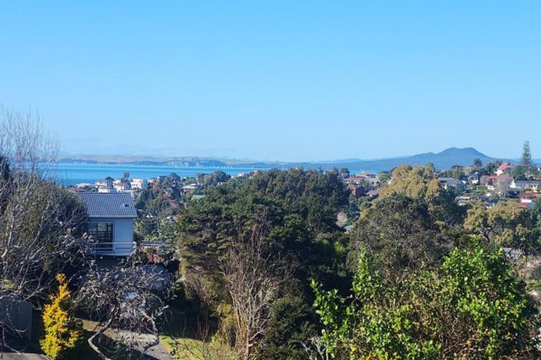 Photo of property in 1/6 Stredwick Drive, Torbay, Auckland, 0630