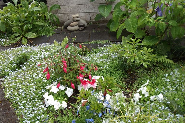 Photo of property in 2/89 Harvey Street, Waipahihi, Taupo, 3330