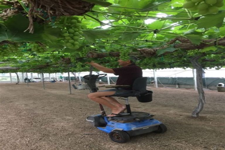 Photo of property in 392 Ngarua Road, Waitoa, 3380