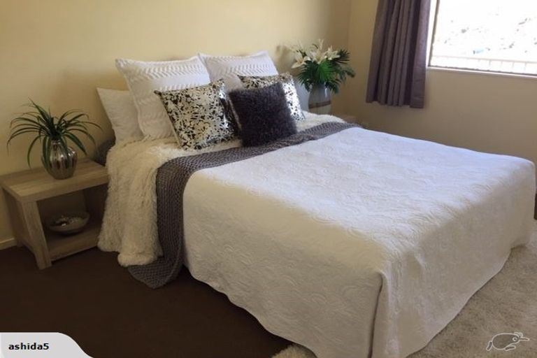 Photo of property in 33 Saint Lawrence Street, Toi Toi, Nelson, 7010