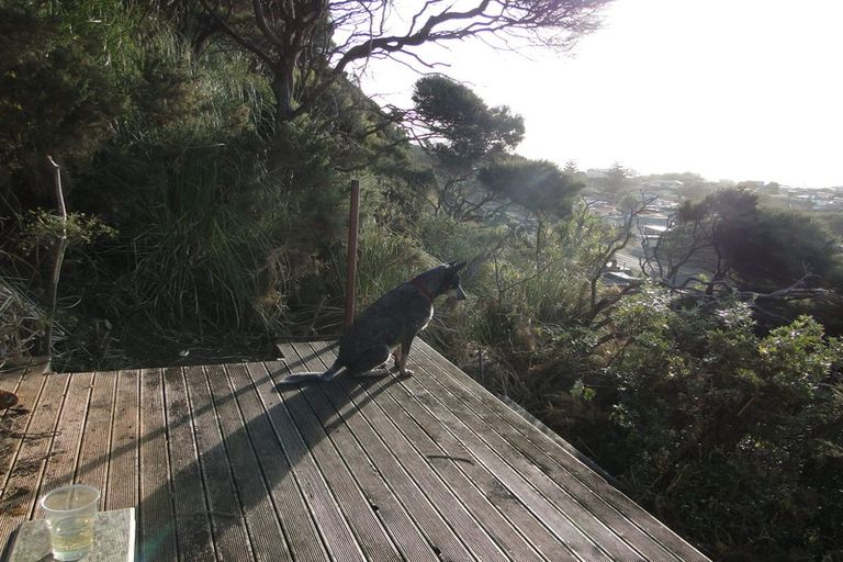 Photo of property in 157 Maunsell Road, Port Waikato, Tuakau, 2695