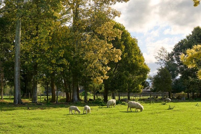 Photo of property in 52 Willow Park Drive, Opaki, Masterton, 5871