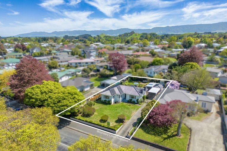 Photo of property in 38 Queen Street, Dannevirke, 4930