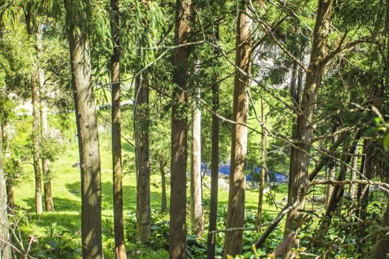 Photo of property in 8 Frasertown Road, Frasertown, Wairoa, 4195